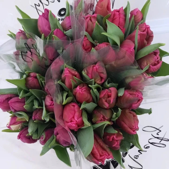 Fresh Cut Specialty Parrot Tulips