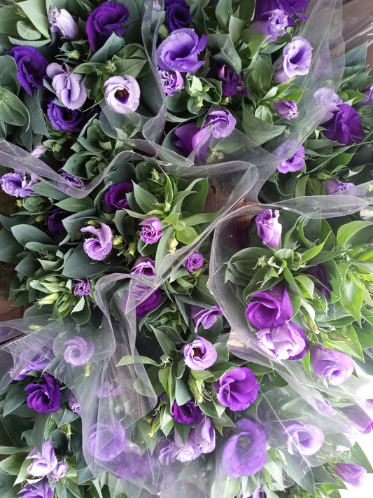 Purple Lisianthus