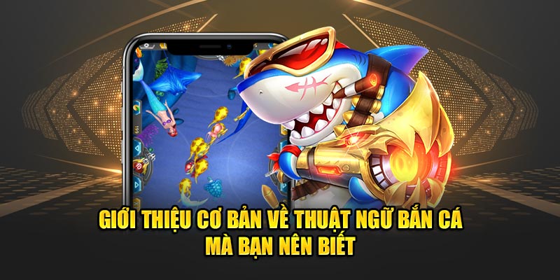 Điểm danh những thuật ngữ bắn cá mà bạn nên biết